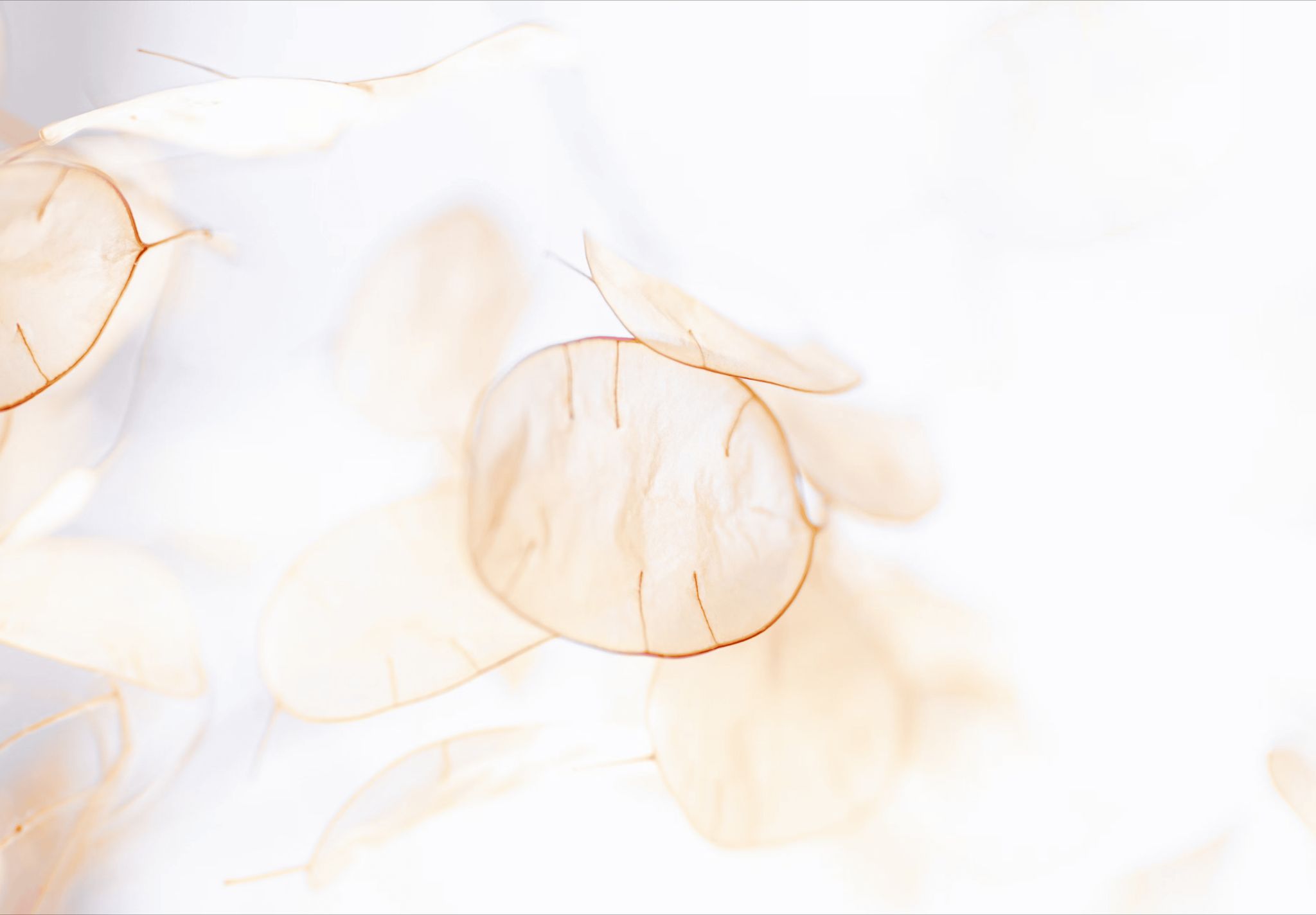 background with ripple